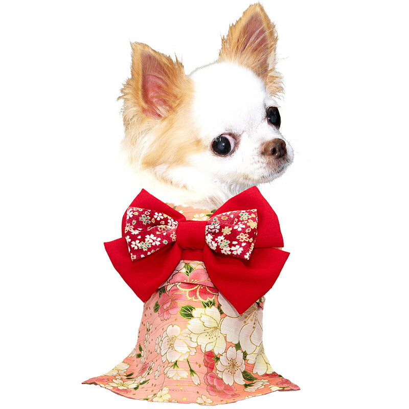 【着物 犬 服 犬の服 秋服 冬服用】艶やか晴れ着 伊織(いおり)《名入れ可能》《コサージュ別売》【和柄 正月 年賀状 初詣 花柄 日本製ドッグ ペット ウェア ダックス トイプードル チワワ タムベディ】