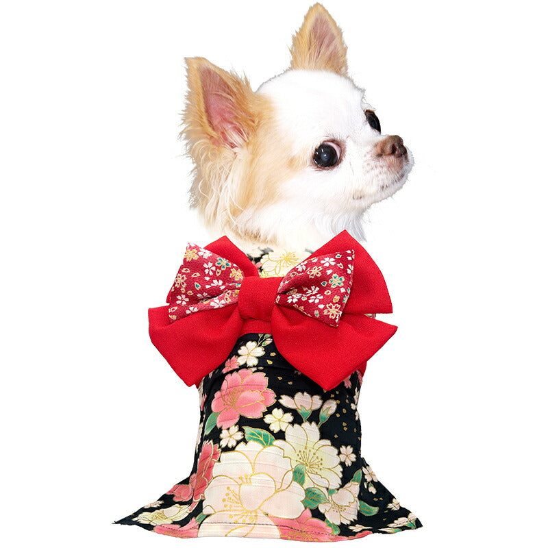 【着物 犬 服 犬の服 秋服 冬服用】艶やか晴れ着 伊織(いおり)《名入れ可能》《コサージュ別売》【和柄 正月 年賀状 初詣 花柄 日本製ドッグ ペット ウェア ダックス トイプードル チワワ タムベディ】