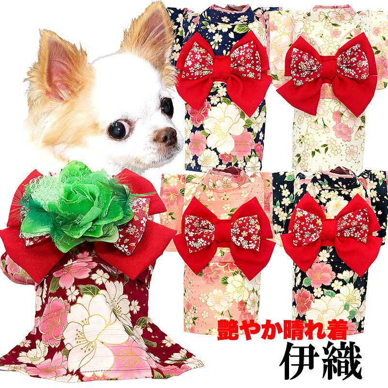 【着物 犬 服 犬の服 秋服 冬服用】艶やか晴れ着 伊織(いおり)《名入れ可能》《コサージュ別売》【和柄 正月 年賀状 初詣 花柄 日本製ドッグ ペット ウェア ダックス トイプードル チワワ タムベディ】