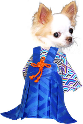 【犬 着物 犬の服】男振り袴(はかま)かなた《名入れ可能》【男の子 ドッグウェア ペット 正月 七五三 ダックス トイプードル チワワ タムベディ かっこいい パピヨン タムベディ 着せやすい】