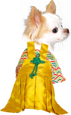 【犬 着物 犬の服】男振り袴(はかま)かなた《名入れ可能》【男の子 ドッグウェア ペット 正月 七五三 ダックス トイプードル チワワ タムベディ かっこいい パピヨン タムベディ 着せやすい】