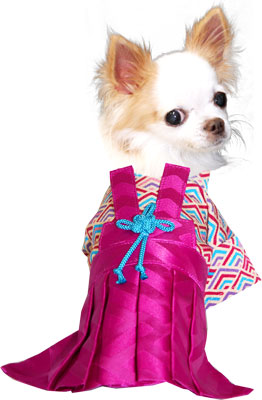 【犬 着物 犬の服】男振り袴(はかま)かなた《名入れ可能》【男の子 ドッグウェア ペット 正月 七五三 ダックス トイプードル チワワ タムベディ かっこいい パピヨン タムベディ 着せやすい】
