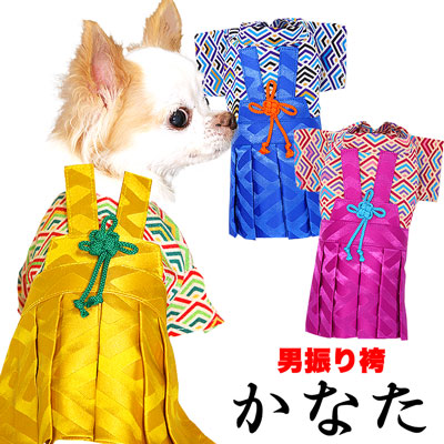 【犬 着物 犬の服】男振り袴(はかま)かなた《名入れ可能》【男の子 ドッグウェア ペット 正月 七五三 ダックス トイプードル チワワ タムベディ かっこいい パピヨン タムベディ 着せやすい】