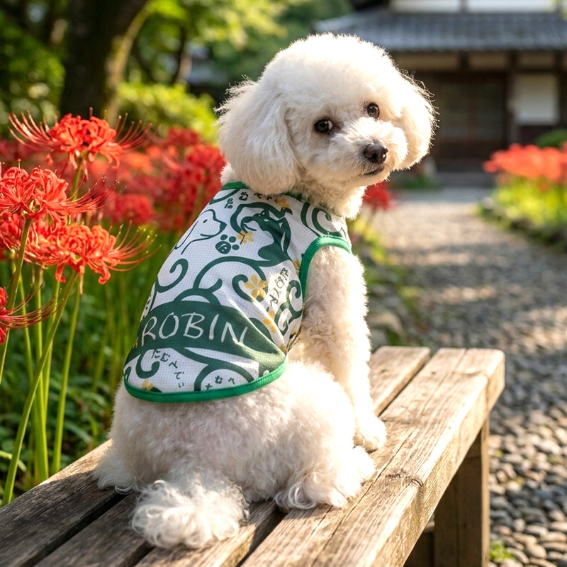 【犬服 犬 服 犬の服 春秋服 冬服用】愛犬のお名前入り 唐草日和 【和柄 和風 日本製 オリジナル ドッグ ペット ウェア ダックス トイプードル チワワ タムベディ おもしろい ポメラニアン】(S/B/N/H/)