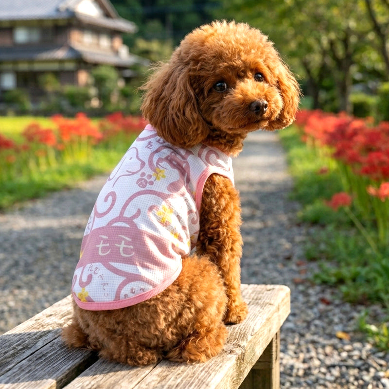 【犬服 犬 服 犬の服 春秋服 冬服用】愛犬のお名前入り 唐草日和 【和柄 和風 日本製 オリジナル ドッグ ペット ウェア ダックス トイプードル チワワ タムベディ おもしろい ポメラニアン】(S/B/N/H/)