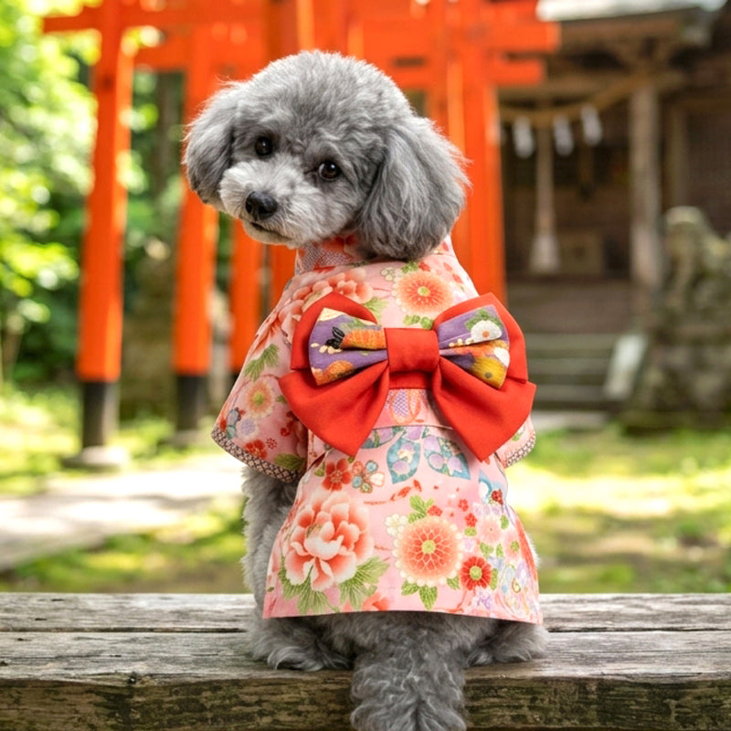 【犬服 着物 犬 服 犬の服 秋服 冬服用】艶やか晴れ着 華恋(かれん)《名入れ可能》《コサージュ別売》【日本製 和柄 正月 年賀状 初詣 花柄 ドッグ ペット ウェア ダックス トイプードル チワワ タムベディ セール】