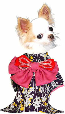【犬 着物 犬の服】艶やか晴れ着 かすみ 《名入れ可能》《コサージュ別売》ポリちりめん【ドッグウェア ペット 着物 正月 七五三 ダックス トイプードル チワワ タムベディ マルチーズ 着せやすい】