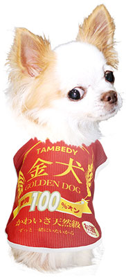 【犬 夏服用】ひんやり 接触冷感素材 クール 金犬シャツ (BW)【ドッグウェア ペット ビール お酒 パロディ チワワ ダックス トイプードル さわやか パグ 暑さ対策 タムベディ】