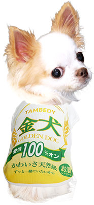 【犬 夏服用】ひんやり 接触冷感素材 クール 金犬シャツ (BW)【ドッグウェア ペット ビール お酒 パロディ チワワ ダックス トイプードル さわやか パグ 暑さ対策 タムベディ】