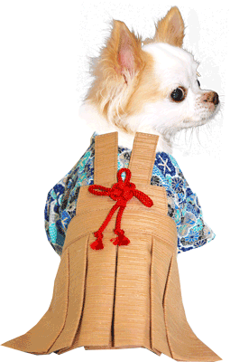 【犬 着物 犬の服】男振り袴(はかま)きしん《名入れ可能》【男の子 ドッグウェア ペット 正月 七五三 ダックス トイプードル チワワ タムベディ かっこいい パピヨン タムベディ 着せやすい】