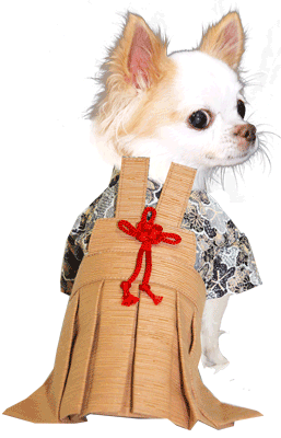 【犬 着物 犬の服】男振り袴(はかま)きしん《名入れ可能》【男の子 ドッグウェア ペット 正月 七五三 ダックス トイプードル チワワ タムベディ かっこいい パピヨン タムベディ 着せやすい】