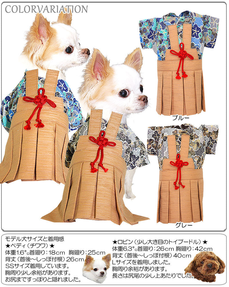 【犬 着物 犬の服】男振り袴(はかま)きしん《名入れ可能》【男の子 ドッグウェア ペット 正月 七五三 ダックス トイプードル チワワ タムベディ かっこいい パピヨン タムベディ 着せやすい】