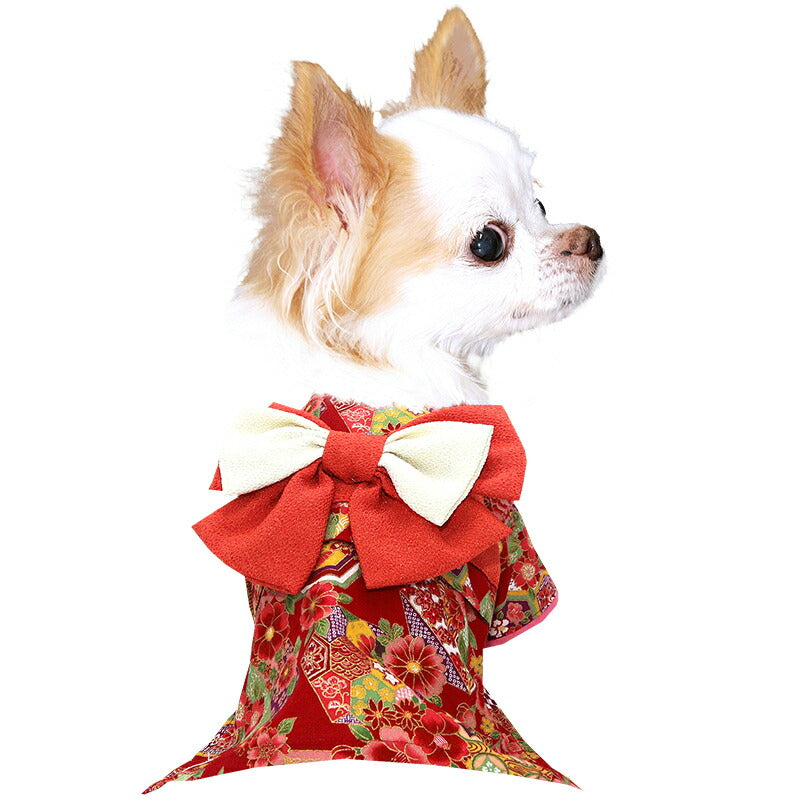 【犬服 犬 服 犬の服 秋服 冬服用】艶やか晴れ着 清花(きよか)《名入れ可能》《コサージュ別売》 【着物 お正月 初詣 年賀状 七五三 前開きドッグ ペット ウェア ダックス トイプードル チワワ タムベディ パピヨン】