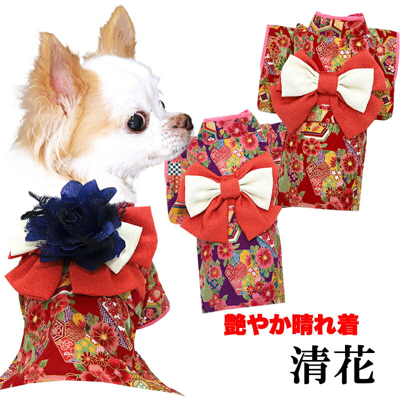 【犬服 犬 服 犬の服 秋服 冬服用】艶やか晴れ着 清花(きよか)《名入れ可能》《コサージュ別売》 【着物 お正月 初詣 年賀状 七五三 前開きドッグ ペット ウェア ダックス トイプードル チワワ タムベディ パピヨン】