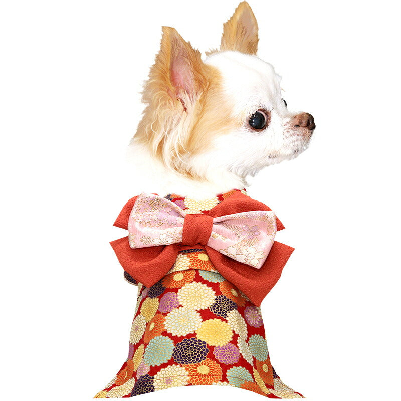 【犬服 犬 服 犬の服 秋服 冬服用】艶やか晴れ着 湖条(こじょう)《名入れ可能》《コサージュ別売》【着物 お正月 初詣 年賀状 七五三 ドッグ ペット ウェア ダックス トイプードル チワワ タムベディ マルチーズ】