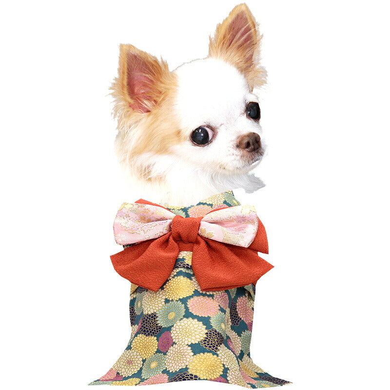 【犬服 犬 服 犬の服 秋服 冬服用】艶やか晴れ着 湖条(こじょう)《名入れ可能》《コサージュ別売》【着物 お正月 初詣 年賀状 七五三 ドッグ ペット ウェア ダックス トイプードル チワワ タムベディ マルチーズ】
