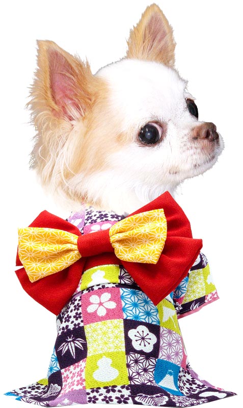 【犬 着物 犬の服】艶やか晴れ着 高麗 《名入れ可能》《コサージュ別売》【ドッグウェア ペット 着物 正月 七五三 ダックス トイプードル チワワ タムベディ かわいい マルチーズ 着せやすい】
