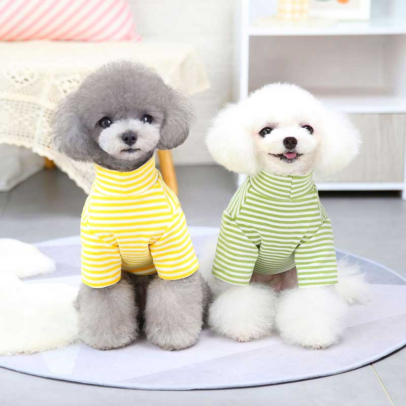 【犬服 犬 服 犬の服 春 夏用 秋】【名入れ可能】くまちゃんハイネックシャツ【ボーダー ベア ドッグ ペット ウェア ダックス トイプードル チワワ タムベディおしゃれ パグ】[CN]