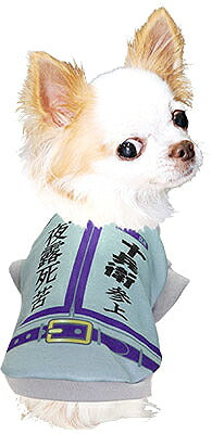 【犬服 犬 服 犬の服 名入れ】愛犬のお名前入り 今日からツッパリだわん シャツ【ドッグウェア パロディ 学生服 学ラン チワワ ダックス トイプードル おもしろい ポメラニアン タムベディ】(S/3/RI/H/)