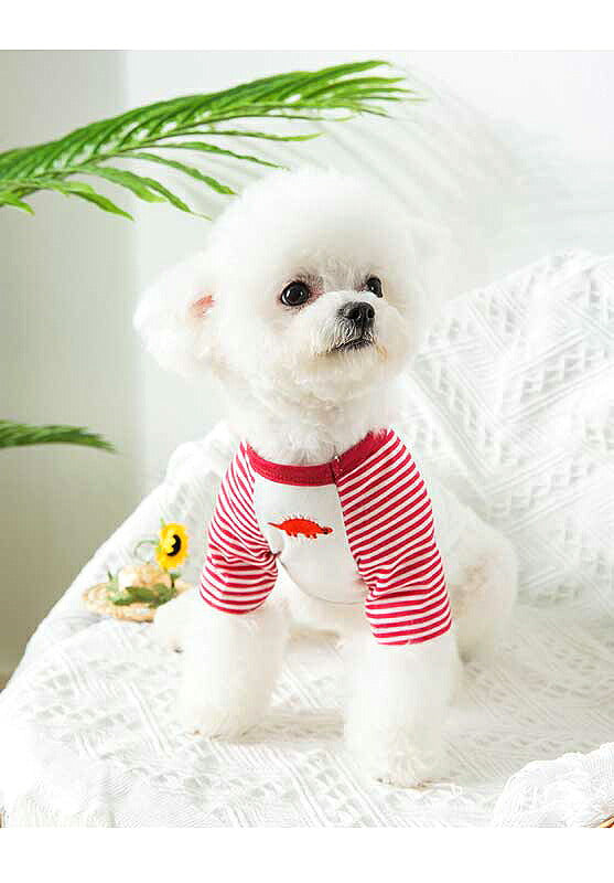 【犬 夏服 犬の服 春服用】《名入れ可能》恐竜のワンポイントシャツ【ドッグウェア ペット 袖あり ボーダー ダックス トイプードル チワワ おしゃれ パグ タムベディ】[CN][GI]
