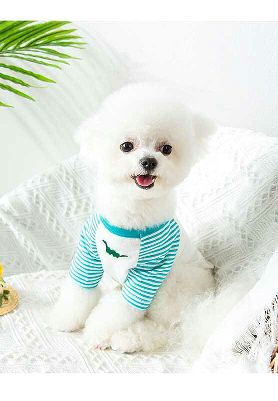 【犬 夏服 犬の服 春服用】《名入れ可能》恐竜のワンポイントシャツ【ドッグウェア ペット 袖あり ボーダー ダックス トイプードル チワワ おしゃれ パグ タムベディ】[CN][GI]