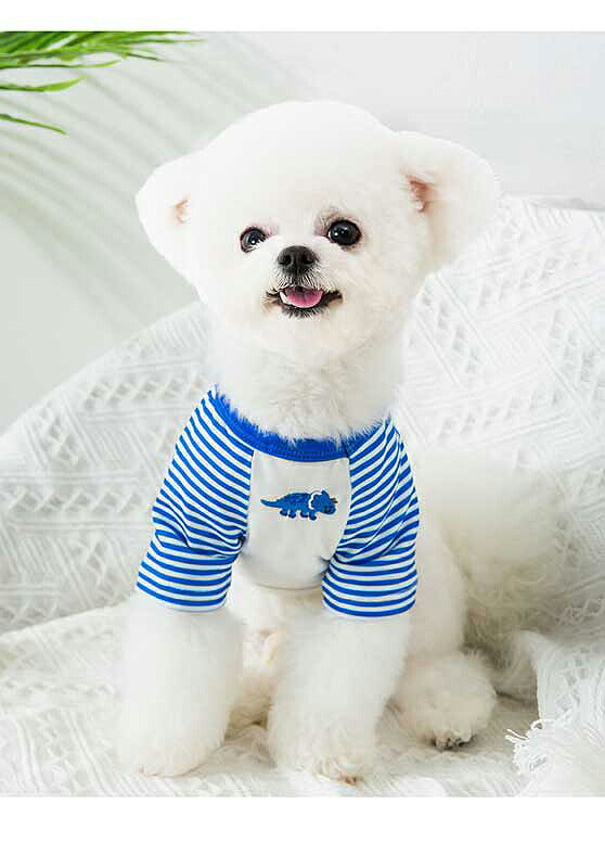 【犬 夏服 犬の服 春服用】《名入れ可能》恐竜のワンポイントシャツ【ドッグウェア ペット 袖あり ボーダー ダックス トイプードル チワワ おしゃれ パグ タムベディ】[CN][GI]