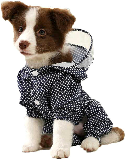 【犬服 犬 服 犬の服】リトルドットレインコート【ドッグウェア 合羽 カッパ 雨具 梅雨 お散歩 チワワ ダックス トイプードル タムベディ かわいい ポメラニアン】[CN]