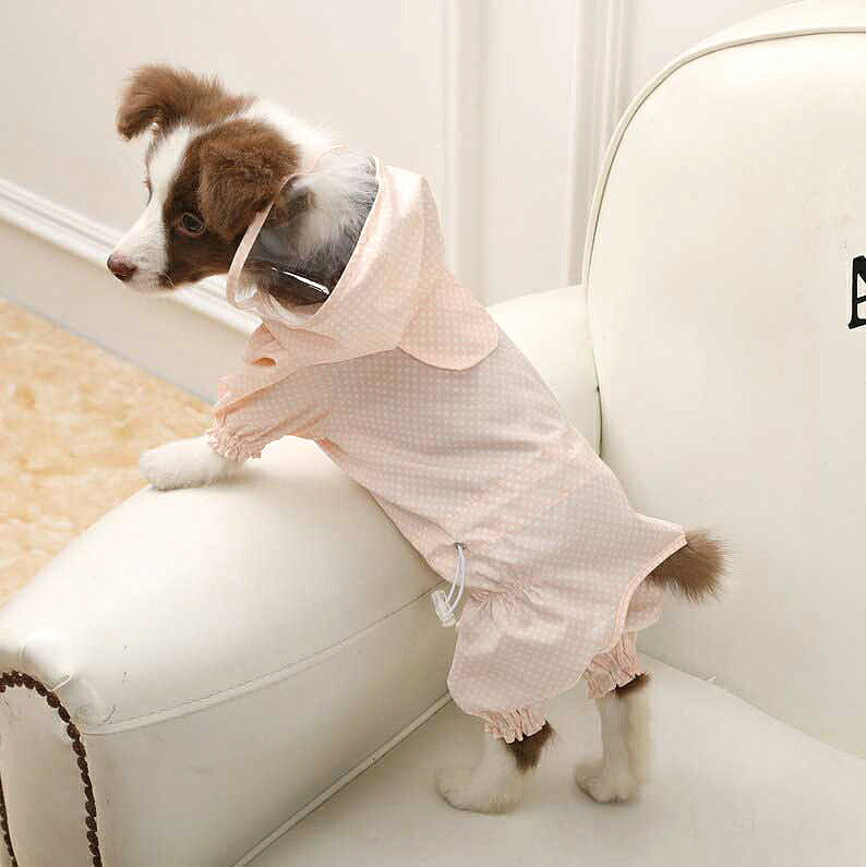 【犬服 犬 服 犬の服】リトルドットレインコート【ドッグウェア 合羽 カッパ 雨具 梅雨 お散歩 チワワ ダックス トイプードル タムベディ かわいい ポメラニアン】[CN]