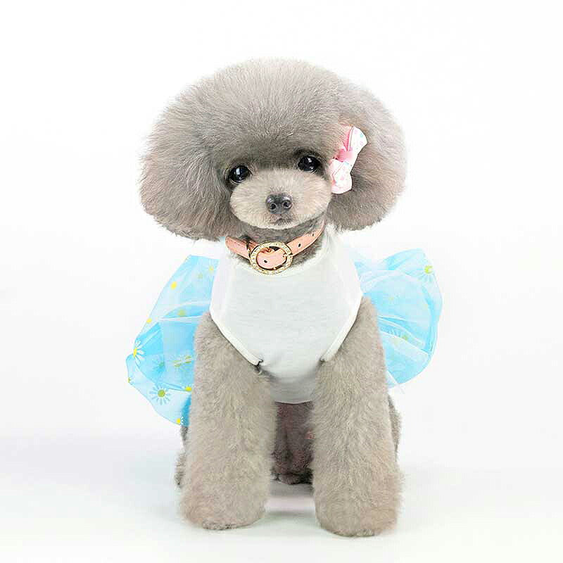【犬 夏服 犬の服 春服用】ラブパフュームワンピース【ドッグウェア 花柄 チュール 香水 ドッグ ペット アウトレット ダックス トイプードル チワワ タムベディかわいい マルチーズ】[CN][GI]