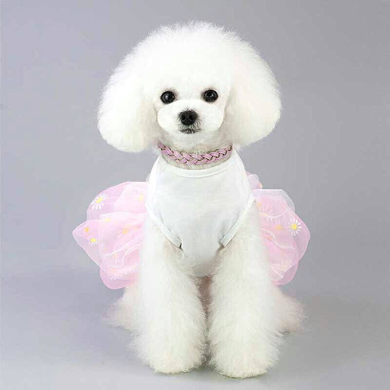 【犬 夏服 犬の服 春服用】ラブパフュームワンピース【ドッグウェア 花柄 チュール 香水 ドッグ ペット アウトレット ダックス トイプードル チワワ タムベディかわいい マルチーズ】[CN][GI]