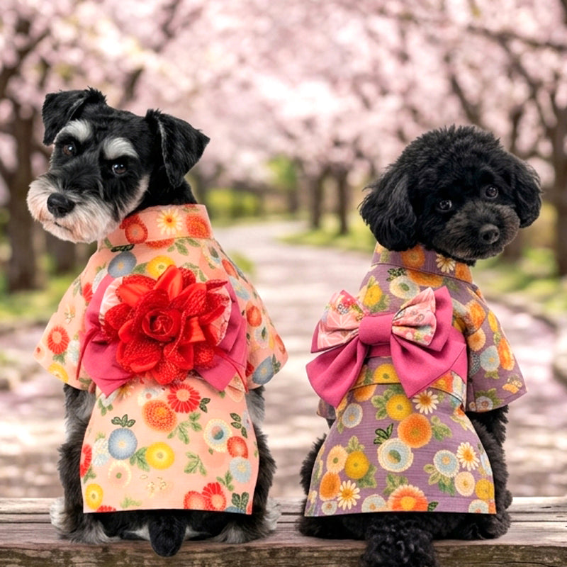 【犬服 着物 犬 服 犬の服 秋服 冬服用】艶やか晴れ着 鞠月(まりづき)《名入れ可能》《コサージュ別売》【日本製 和柄 正月 年賀状 初詣 花柄 ドッグ ペット ウェア ダックス トイプードル チワワ タムベディ セール】