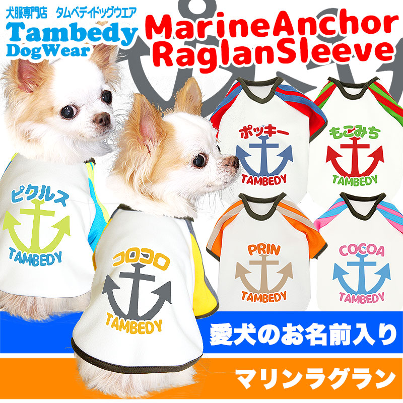【犬服 犬 服 犬の服 名入れ】愛犬のお名前入り マリンアンカー ラグランスリーブ (SZ/3D)【ドッグウェア イカリ柄 タイニー トイプードル チワワ ダックス おしゃれ 柴犬 タムベディ】(O/B/RA/H/)
