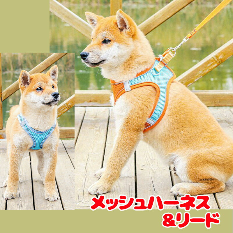 【犬 ハーネス 小型犬】メッシュハーネス【ドッグウェア 散歩 リード カラフル 安全 飛出し防止 暑さ対策 ドッグ ペット ダックス トイプードル チワワ タムベディ おしゃれ】[CN]