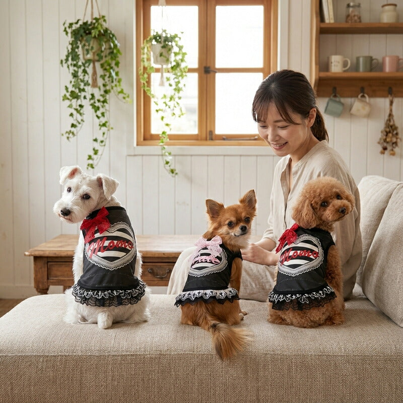 【犬服 犬 服 犬の服 秋服 冬服用】愛犬のお名前入り　モノクロームワンピース【レース 日本製 パンク ハート おでかけ ライブドッグ ペット ウェア ダックス トイプードル チワワ タムベディかわいい ポメラニアン】(S/3/W/H/)