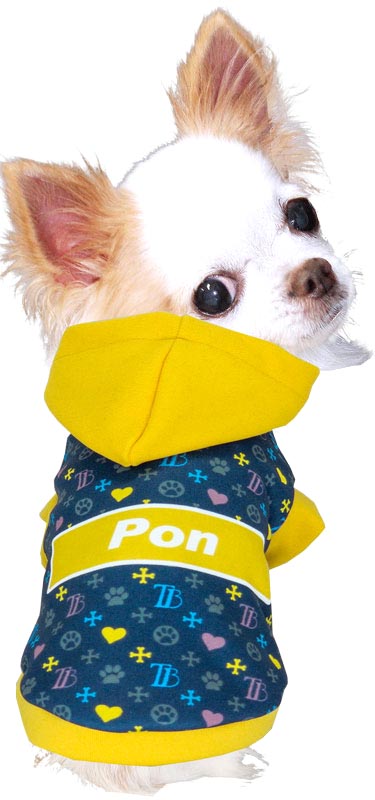 【犬服 犬 服 犬の服 名入れ 秋服 冬服用】愛犬のお名前入り モノグラムパーカー 【ドッグ ペット ウェア ダックス トイプードル チワワ タムベディかっこいい パグ】(S/3/RI/H/)