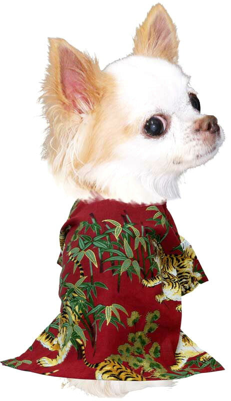 【犬 甚平 浴衣 夏服用】《名入れ可能》猛虎甚平【じんべい 和装 浴衣 トラ とら 竹 かっこいい 祭り 花火大会 ドッグ ペット ウェア 男の子 ダックス トイプードル チワワ タムベディおしゃれ】