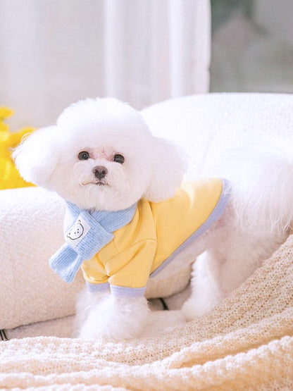 【犬服 犬 服 犬の服 秋服 冬服用】マフラー付きクマちゃんシャツ【マフラー 取り外し可能 ベア 寒さ対策 あったかドッグ ペット ウェア ダックス トイプードル チワワ タムベディ】[CN]