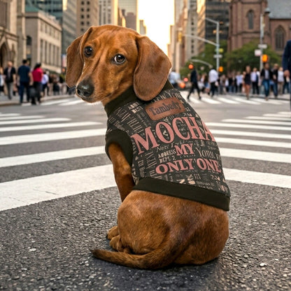 【犬服 犬 服 犬の服 秋服 冬服用】愛犬のお名前入り マイオンリーワン 【NY ロゴ 日本製 オリジナル ドッグ ペット ウェア ダックス トイプードル チワワ タムベディ おしゃれ シーズー】(S/3/RI/H/)