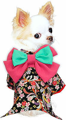 【犬 着物 犬の服】艶やか晴れ着 虹色 《名入れ可能》《コサージュ別売》裏地付【ドッグウェア ペット 着物 正月 七五三 ダックス トイプードル チワワ タムベディ かわいい マルチーズ 着せやすい】