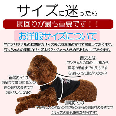 【犬服 犬 服 犬の服 名入れ】愛犬のお名前入り 忍者わんこ シャツ【ドッグウェア 春服 夏服用 コスプレ チワワ ダックス トイプードル おもしろい ポメラニアン タムベディ】(S/3/N/H/)
