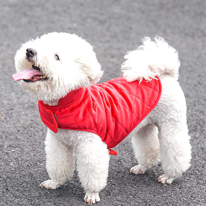 【犬服 犬 服 秋冬 犬の服】ノースリーブジャケット【アウター ドッグウェア ペット アウトレット キルト ダックス トイプードル チワワ 服 タムベディ かっこいい パグ】[CN]