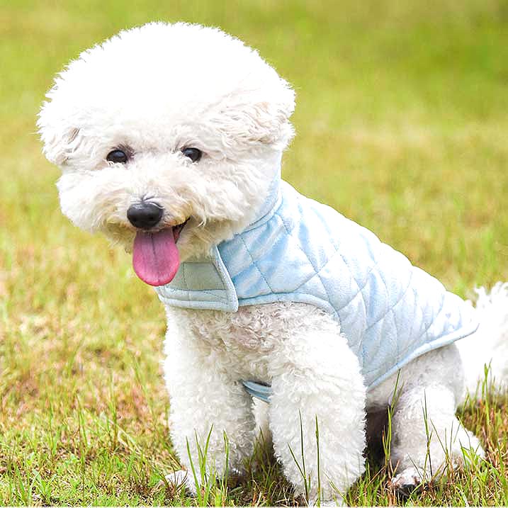 【犬服 犬 服 秋冬 犬の服】ノースリーブジャケット【アウター ドッグウェア ペット アウトレット キルト ダックス トイプードル チワワ 服 タムベディ かっこいい パグ】[CN]