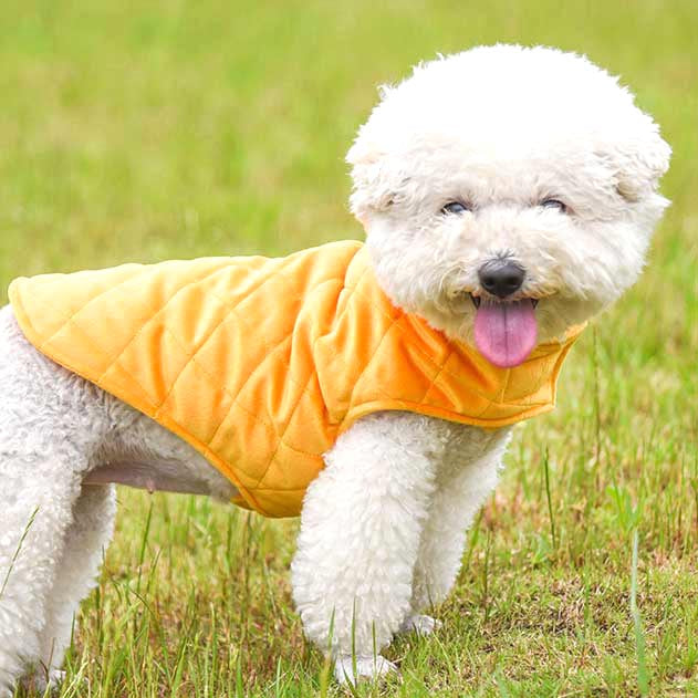 【犬服 犬 服 秋冬 犬の服】ノースリーブジャケット【アウター ドッグウェア ペット アウトレット キルト ダックス トイプードル チワワ 服 タムベディ かっこいい パグ】[CN]