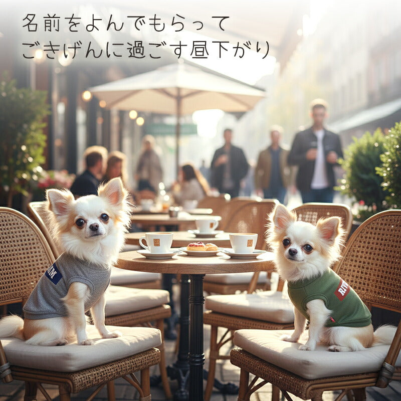 【犬服 犬 服 犬の服 名入れ 春秋服 冬服用】愛犬のお名前入りオールドファッション【シャツ レトロ カジュアル プリントドッグ ペット ウェア ダックス トイプードル チワワ タムベディかっこいい パピヨン】(O/L/)