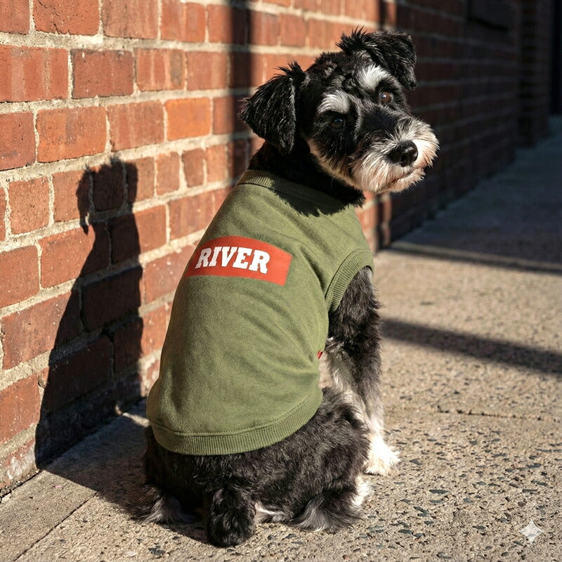 【犬服 犬 服 犬の服 名入れ 春秋服 冬服用】愛犬のお名前入りオールドファッション【シャツ レトロ カジュアル プリントドッグ ペット ウェア ダックス トイプードル チワワ タムベディかっこいい パピヨン】(O/L/)
