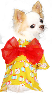 【犬 浴衣 犬の服】《名入れ可能》《コサージュ別売》お祭り提灯★ゆかた(浴衣)【ドッグウェア 着物 和柄 お祭り トイプードル チワワ ダックス タムベディ かわいい シーズー】