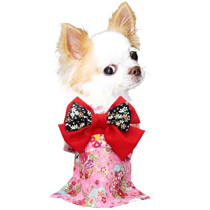 【着物 犬 服 犬の服 秋服 冬服用】艶やか晴れ着 乙葉(おとは)《名入れ可能》《コサージュ別売》【和柄 正月 年賀状 初詣 花柄 日本製ドッグ ペット ウェア ダックス トイプードル チワワ タムベディ パピヨン】