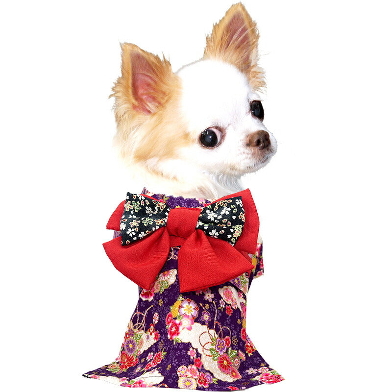 【着物 犬 服 犬の服 秋服 冬服用】艶やか晴れ着 乙葉(おとは)《名入れ可能》《コサージュ別売》【和柄 正月 年賀状 初詣 花柄 日本製ドッグ ペット ウェア ダックス トイプードル チワワ タムベディ パピヨン】