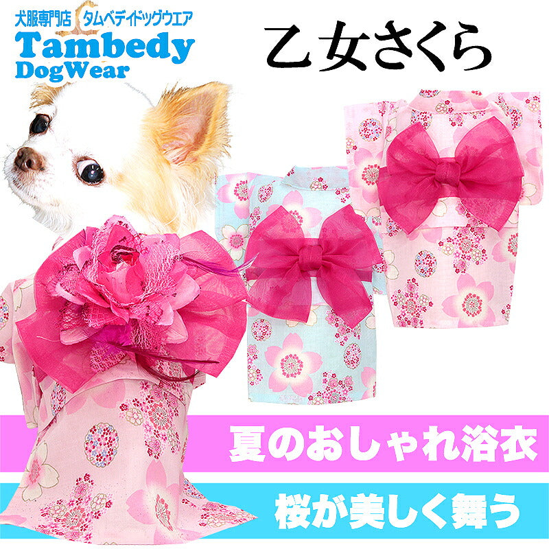 【犬服 犬 服 犬の服　春服 夏服用】乙女さくら浴衣 ゆかた 《名入れ可能》《コサージュ別売》【日本製 桜 夏 祭り 和服 花火大会 インスタ映え 七五三ドッグ ペット ウェア ダックス トイプードル チワワ タムベディ 綺麗  】