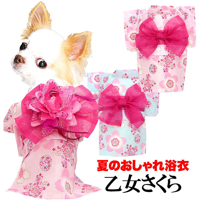 【犬服 犬 服 犬の服　春服 夏服用】乙女さくら浴衣 ゆかた 《名入れ可能》《コサージュ別売》【日本製 桜 夏 祭り 和服 花火大会 インスタ映え 七五三ドッグ ペット ウェア ダックス トイプードル チワワ タムベディ 綺麗  】